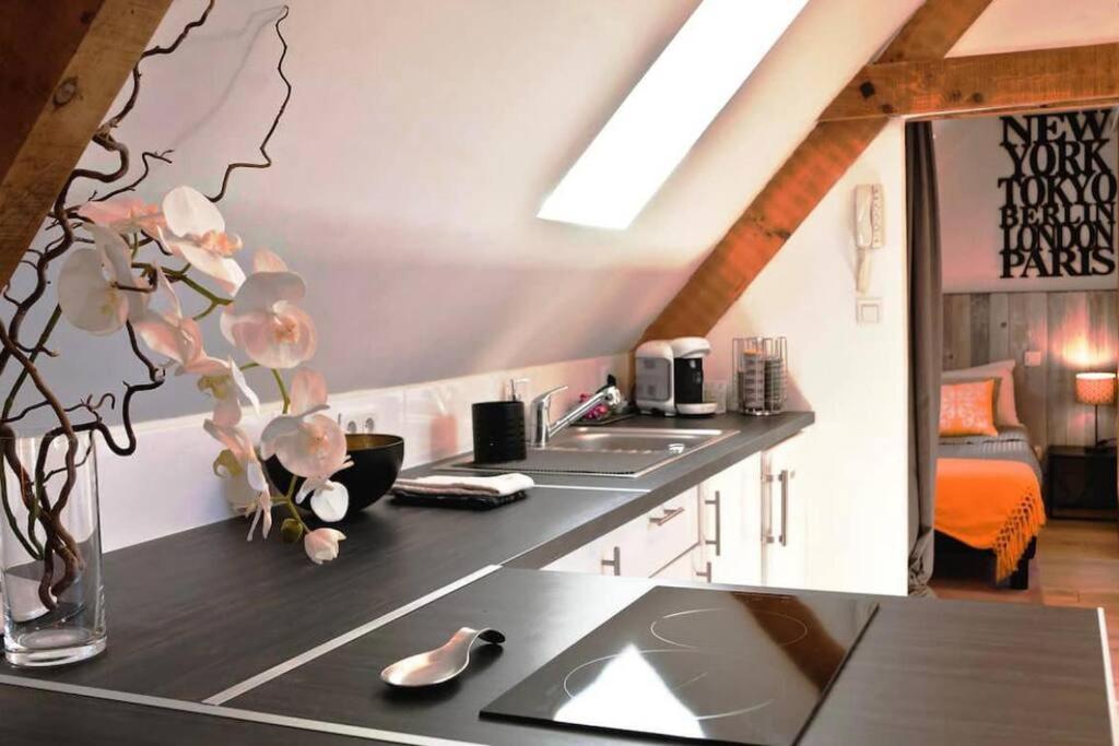 Adorable Petit Loft Clim Wifi Au Pied De La Cite Leilighet Sarlat-la-Canéda Eksteriør bilde